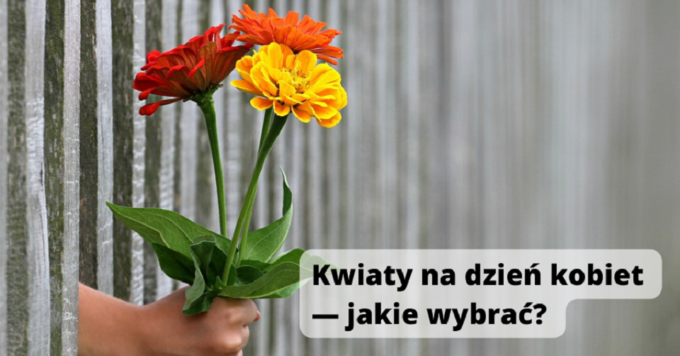 Kwiaty na dzień kobiet — jakie wybrać?