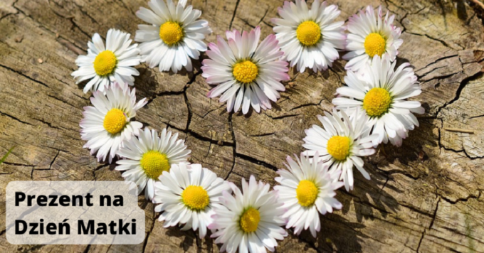 Prezent na Dzień Matki: Co Wybrać?